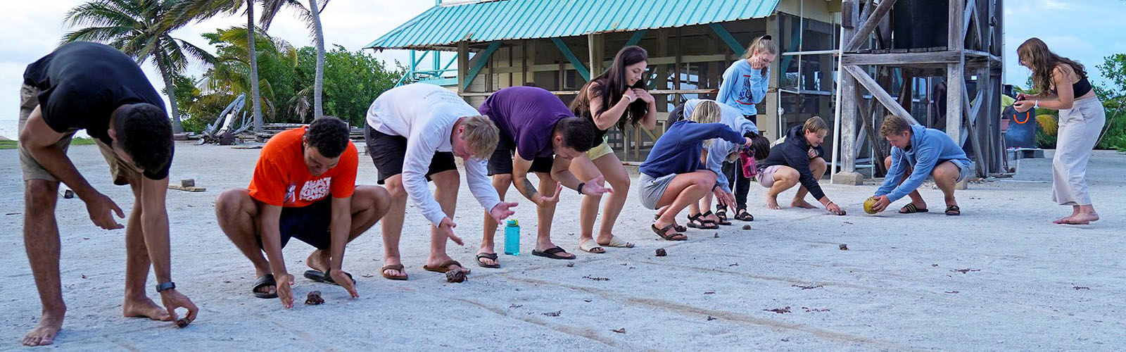 A group of students are hunched over, participating in an activity on the beach.